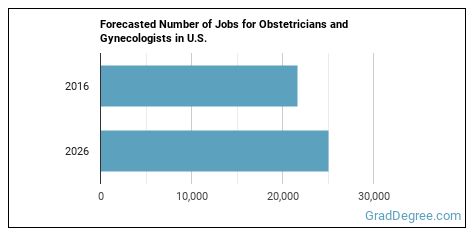 How to Become an Obstetrician or Gynecologist & What Do They Do? - Grad ...