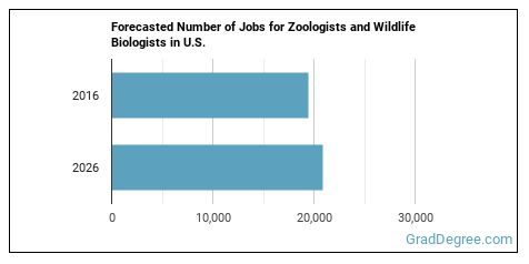 What's It Like Being a Zoologist and Wildlife Biologist? - Grad Degree
