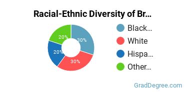 Graduate Racial-Ethnic Diversity at Brevard College
