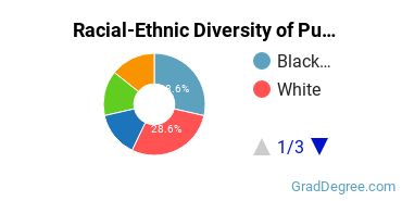 Racial-ethnic diversity of Public Health majors at Bryan University