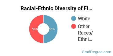 Racial-ethnic diversity of Fine & Studio Arts majors at Bryn Mawr College