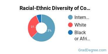 Racial-ethnic diversity of Construction Engineering majors at Eastern Michigan University