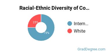 Racial-ethnic diversity of Computer Software Applications majors at Illinois Institute of Technology
