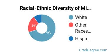 Graduate Racial-Ethnic Diversity at Miami University-Hamilton