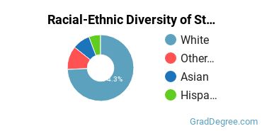 Racial-ethnic diversity of Student Counseling majors at Minnesota State University-Mankato