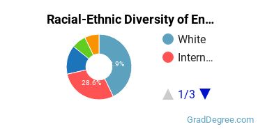 Racial-ethnic diversity of Engineering Physics majors at Naval Postgraduate School
