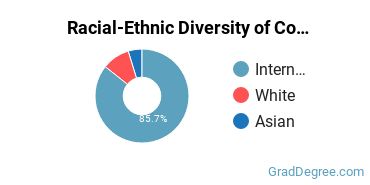 Racial-ethnic diversity of Computational Science majors at Pennsylvania State University-Penn State Great Valley