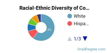 Racial-ethnic diversity of Computational Science majors at Pennsylvania State University-World Campus