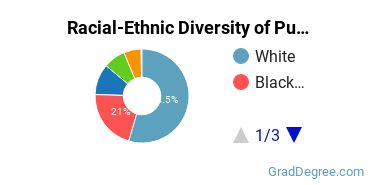 Graduate Racial-Ethnic Diversity at Purdue University Global