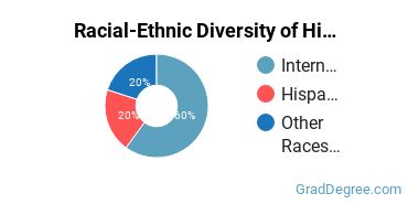 Racial-ethnic diversity of History majors at Rice University
