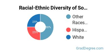 Racial-ethnic diversity of Sociology & Anthropology majors at Saint Cloud State University