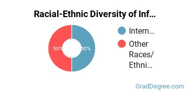 Racial-ethnic diversity of Information Technology majors at Saint Peter's University