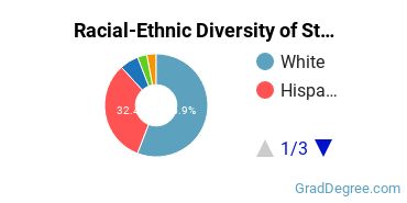 Racial-ethnic diversity of Student Counseling majors at Texas Woman's University