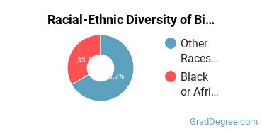 Racial-ethnic diversity of Biomedical Engineering majors at The University of Texas Health Science Center at San Antonio