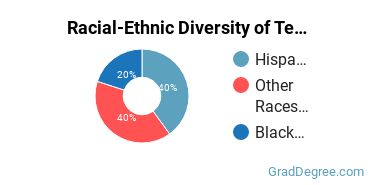 Racial-ethnic diversity of Teacher Education Grade Specific majors at University of Phoenix-California