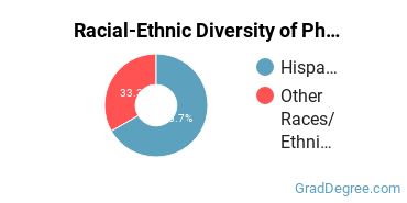 Racial-ethnic diversity of Physics majors at University of Puerto Rico-Rio Piedras