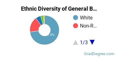 Business & Commerce Majors in ME Ethnic Diversity Statistics