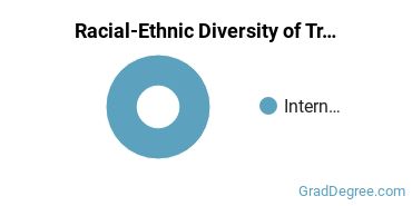 Racial-Ethnic Diversity of Transportation Students with Master's Degrees
